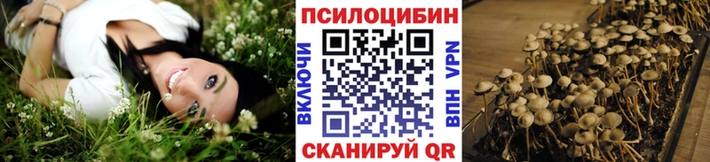 Галлюциногенные грибы ЛСД  продажа наркотиков  Любань 